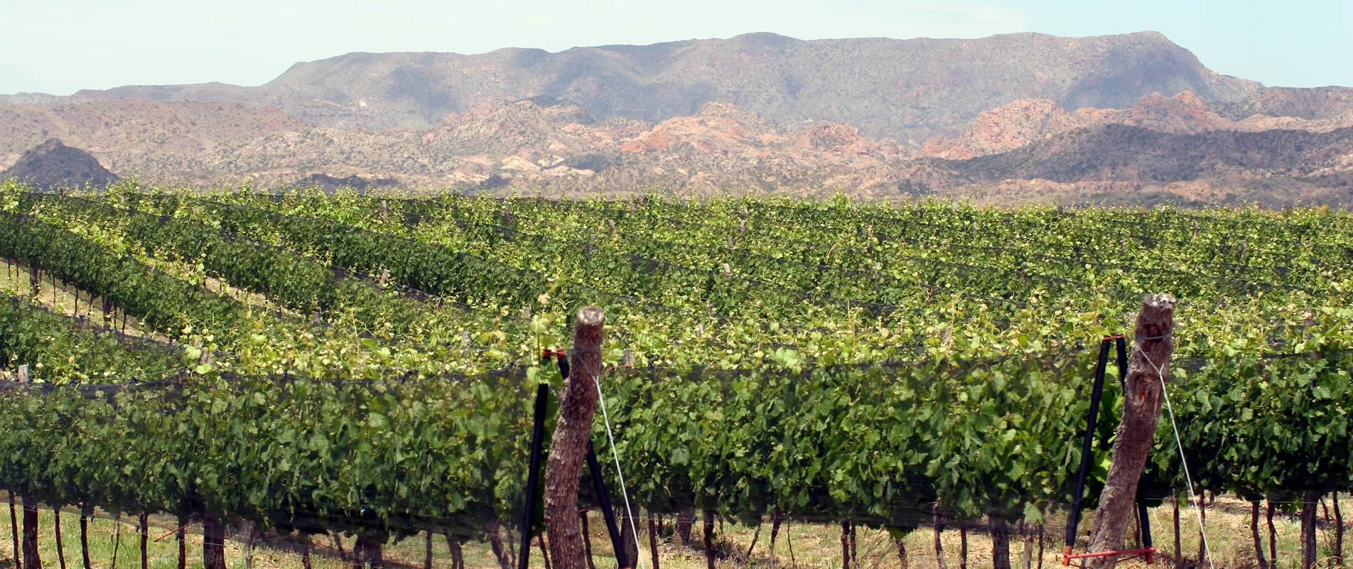 Agroplasticos Mendoza